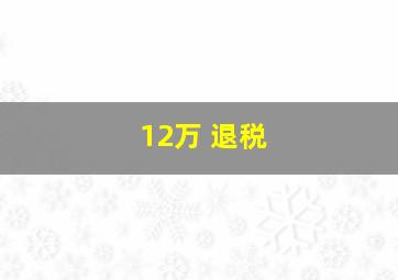 12万 退税